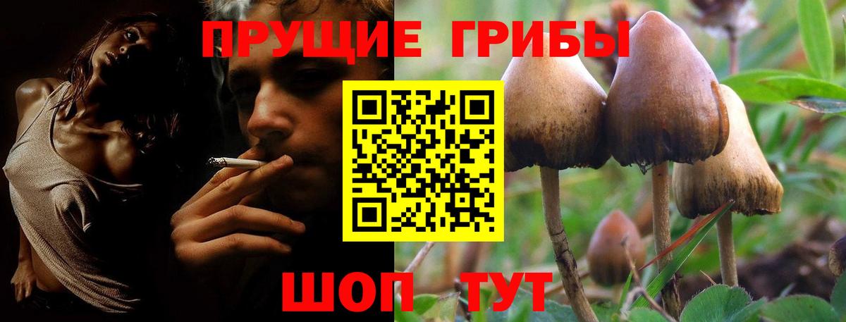 Псилоцибиновые грибы Cubensis  Вход с VPN  Майский  Галлюциногенные грибы Psilocybine cubensis 